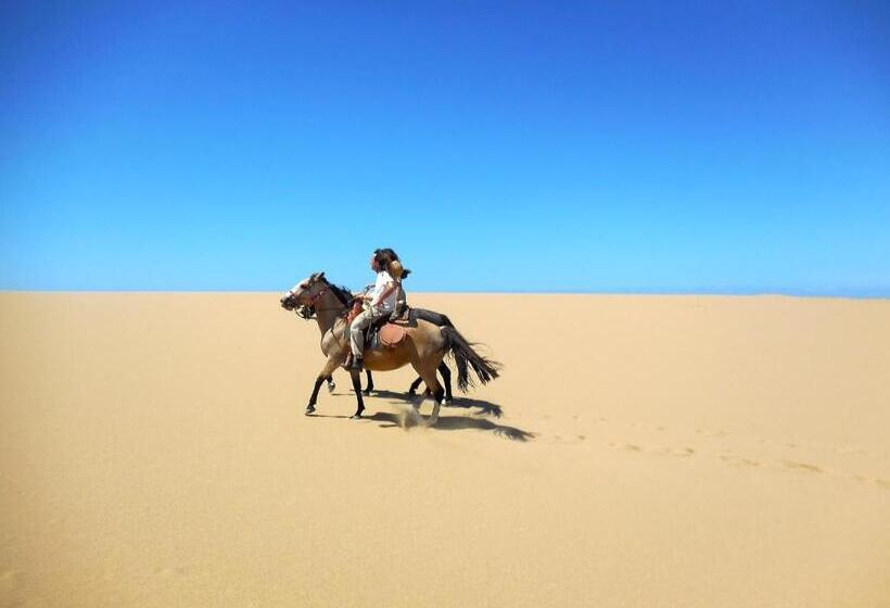 تختخواب و صبحانه Brisas De La Pedrera Hotel Boutique