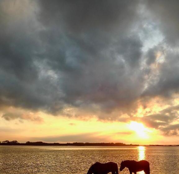 تختخواب و صبحانه Brisas De La Pedrera Hotel Boutique