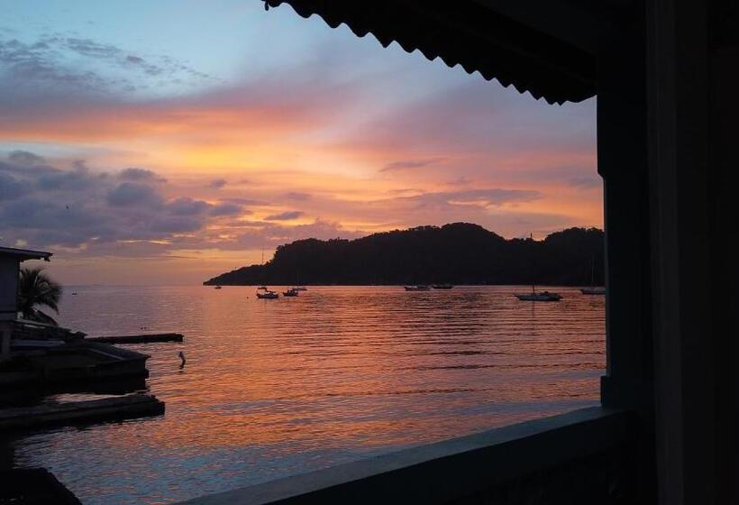 住宿加早餐  Casa Congo & Casa Rayo Verde   Restaurante   Galeria De Arte