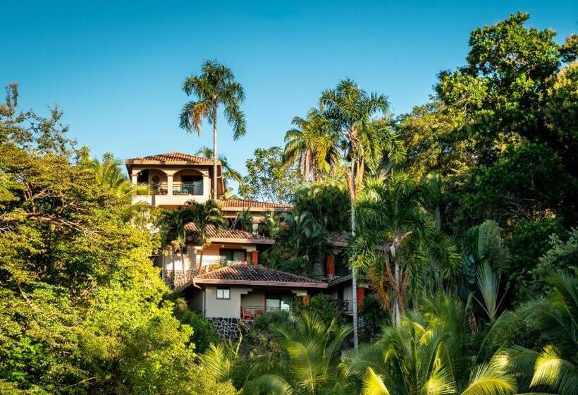 مبيت وإفطار Seagull Cove Resort