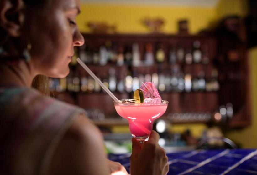 مبيت وإفطار Seagull Cove Resort