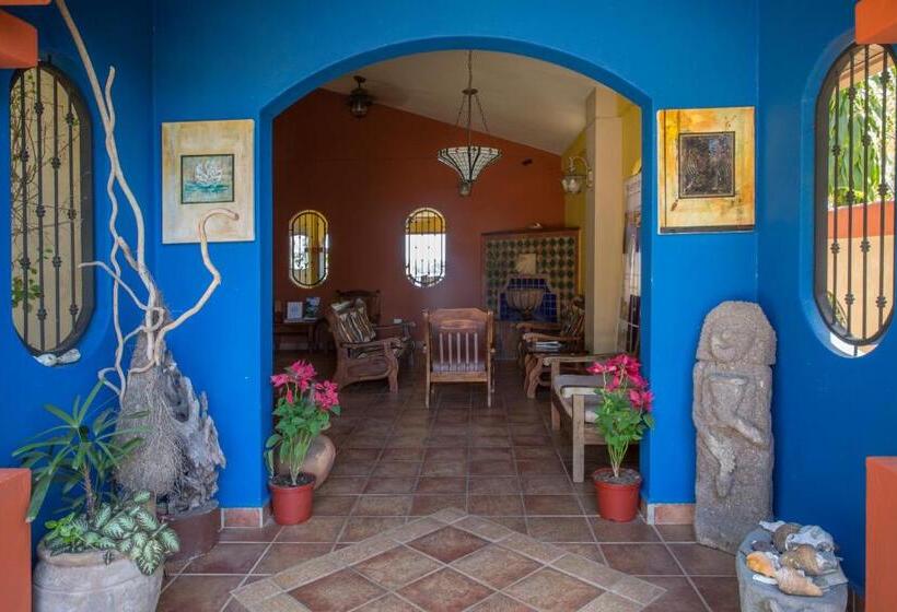 مبيت وإفطار Seagull Cove Resort