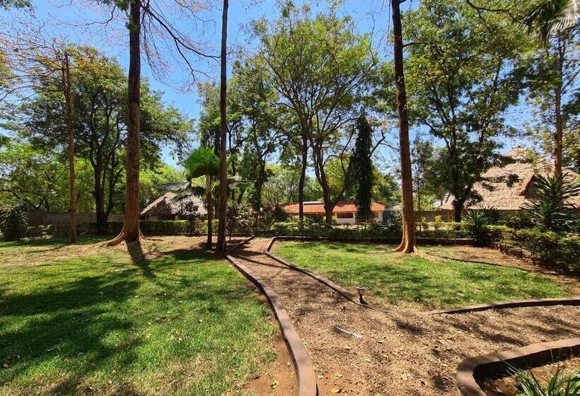 ホテル Honey Badger Lodge