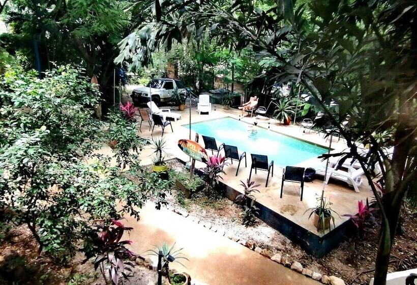 Casa Pura Vida Surf Hostel