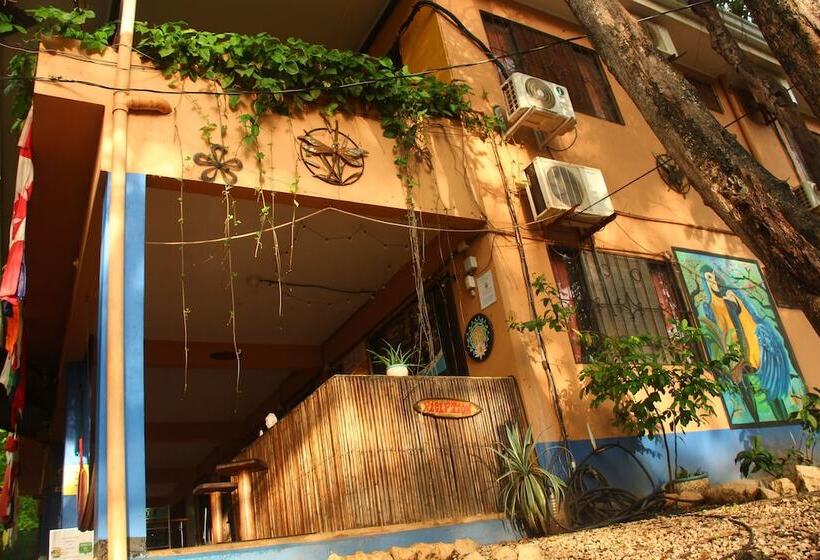 Casa Pura Vida Surf Hostel