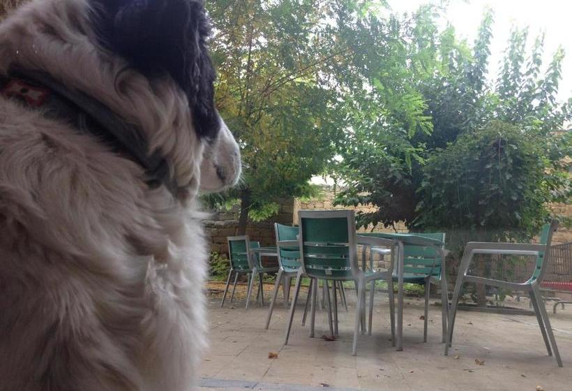 בית מלון כפרי Hospedería Sádaba