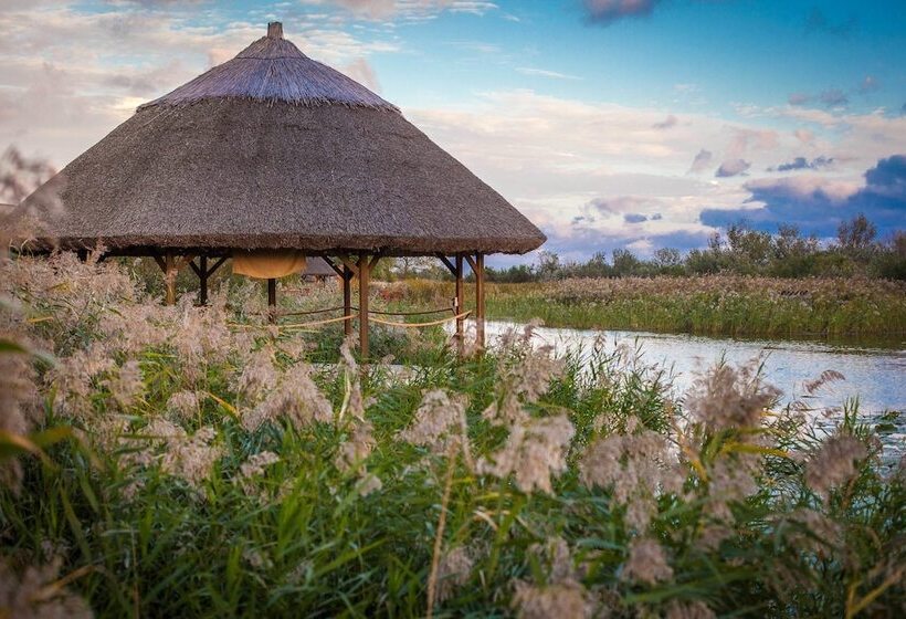 هتل Green Village Resort
