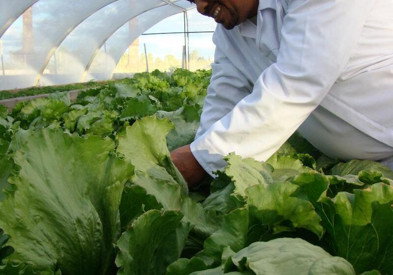 Hôtel Kalahari Farmhouse, Namibia