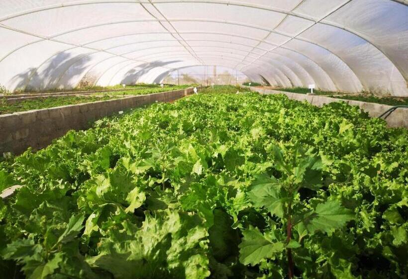 Hôtel Kalahari Farmhouse, Namibia