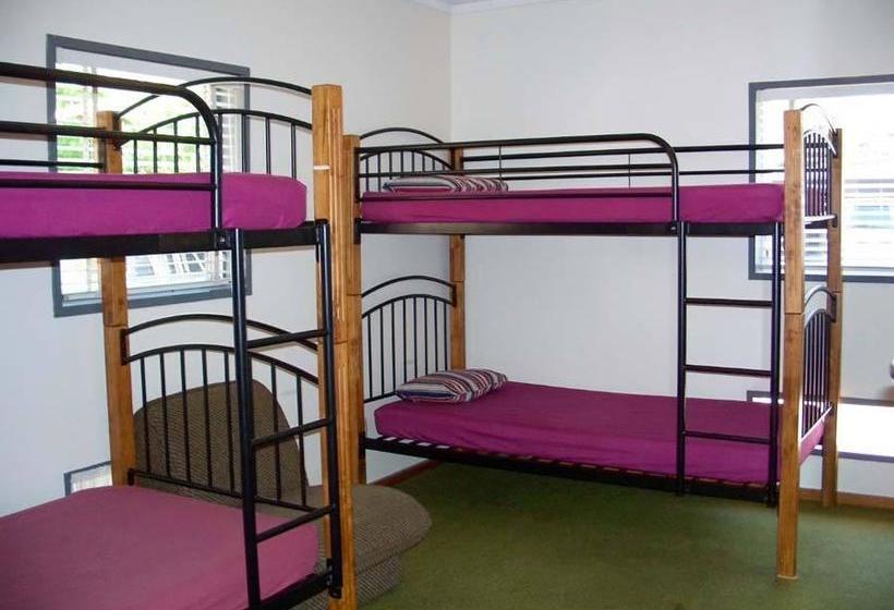 هاستل A Plus Samurai Lodge Backpackers