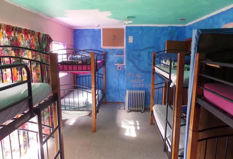 هاستل A Plus Samurai Lodge Backpackers