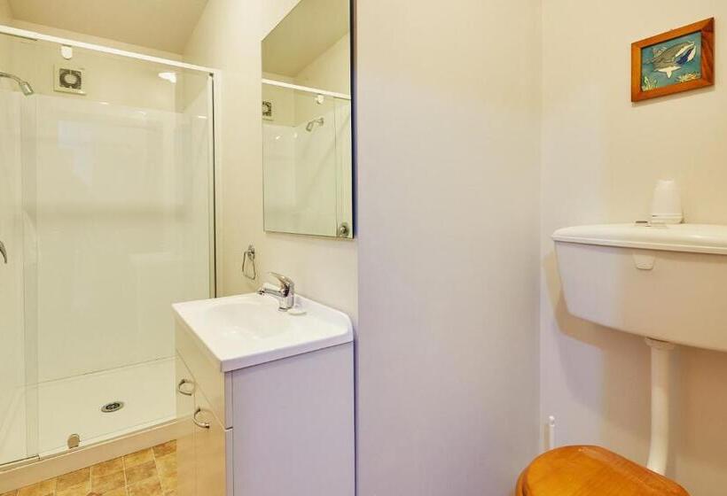 هاستل Dolphin Lodge