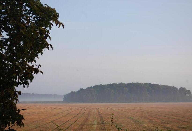 Allégården Kastlösa Hotell