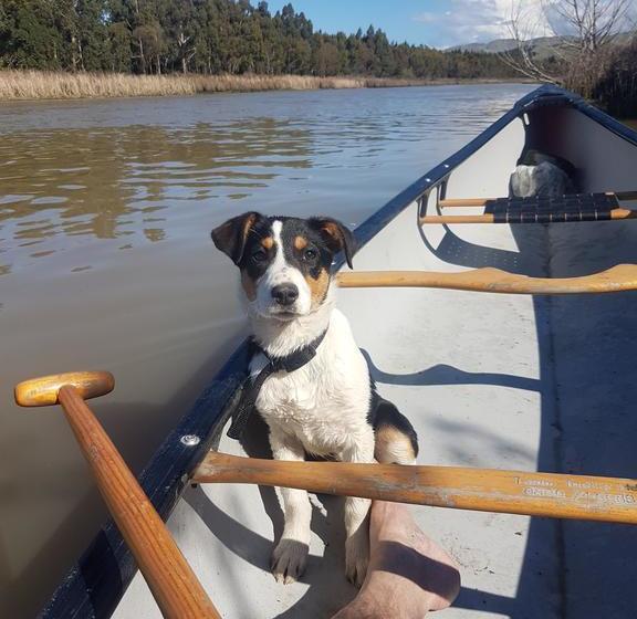 تختخواب و صبحانه Misty River Retreat