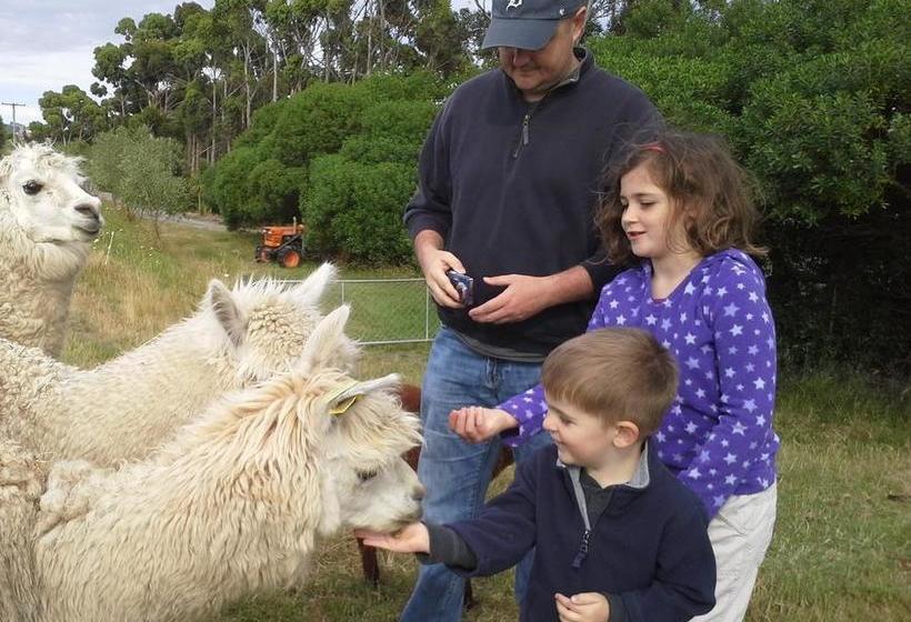 تختخواب و صبحانه Misty River Retreat