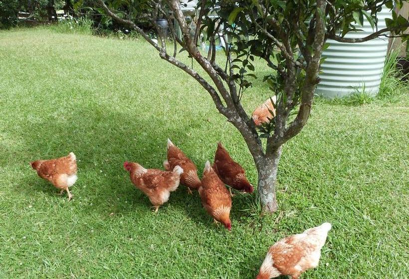 تختخواب و صبحانه Riverside Homestead