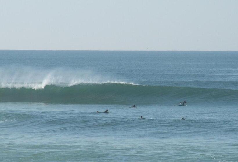 Zambeachouse Hostel Paradise