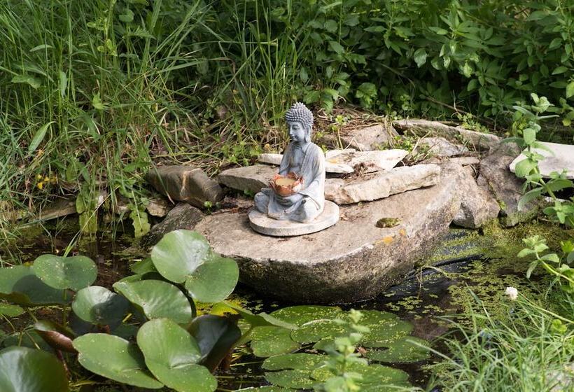 Bed and Breakfast Casa Spa D Alma