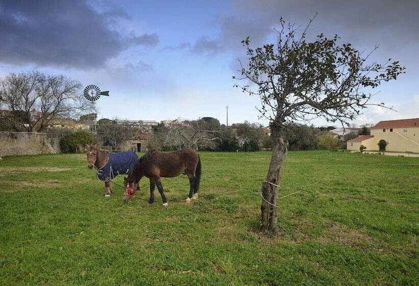 مبيت وإفطار Quinta Do Scoto