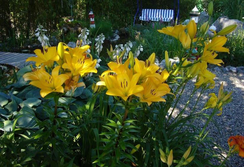 مبيت وإفطار Reni S Oase Am Bodensee