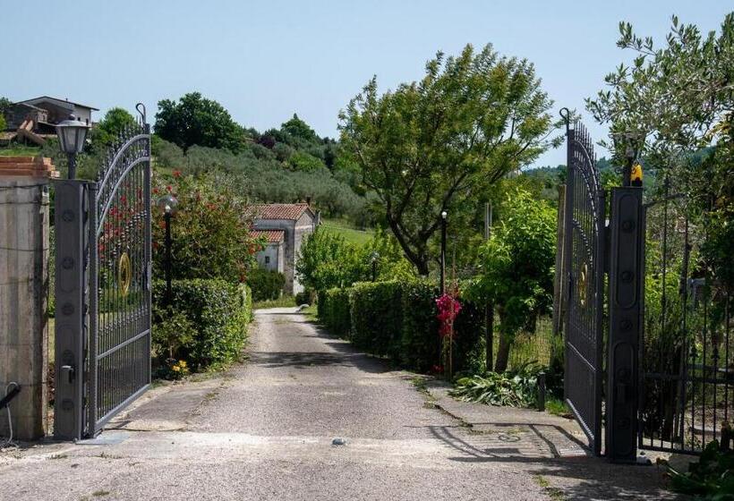 تختخواب و صبحانه Sentiero Degli Ulivi Mascia