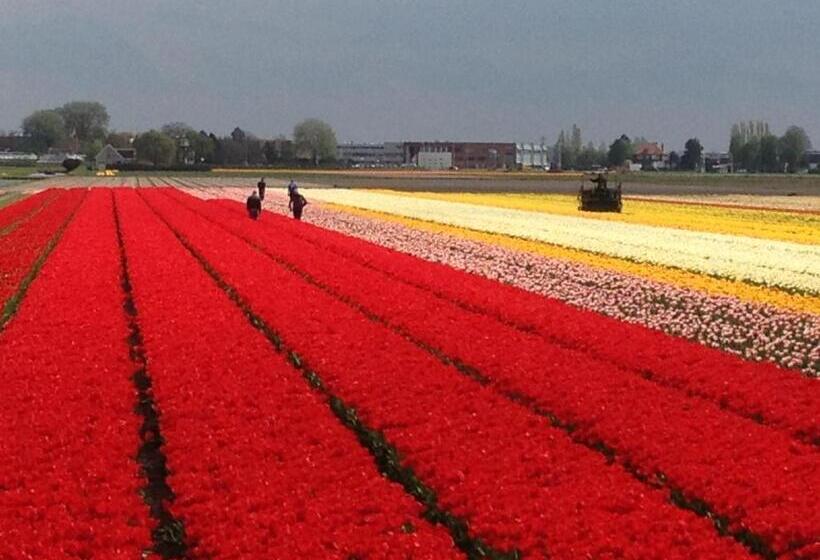 Bed & Breakfast De Vier Seizoenen