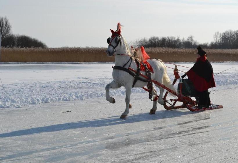 فندق De Stadsboerderij