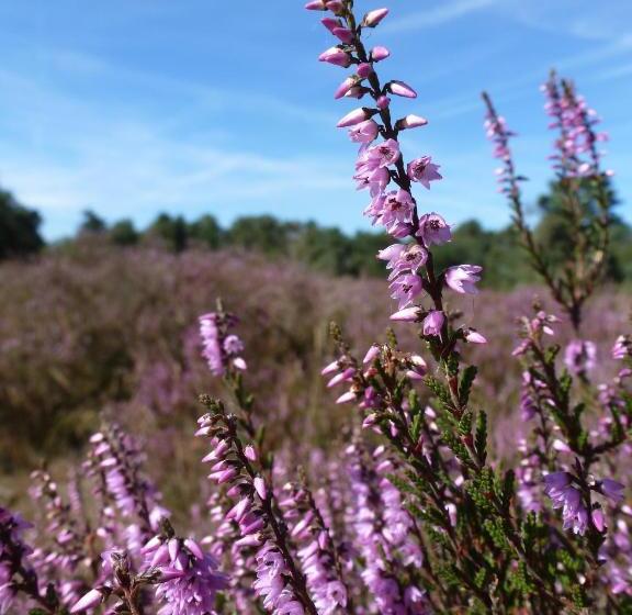 فندق Natuurpoort Van Loon
