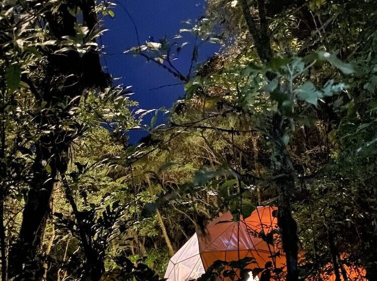 هتل Way To Heaven Glamping