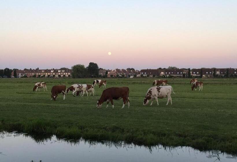 B&b Edam