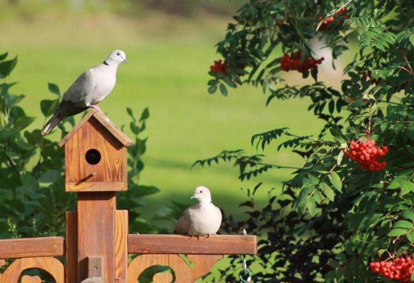צימר Remo Ridge Bed N Breakfast