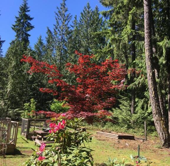 Cedar Song B&b