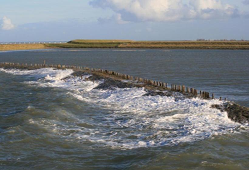 ホテル Pension Bij De Molen