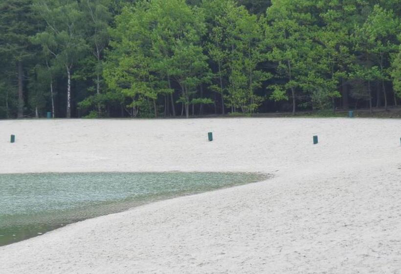 ホテル T Zwanemeer