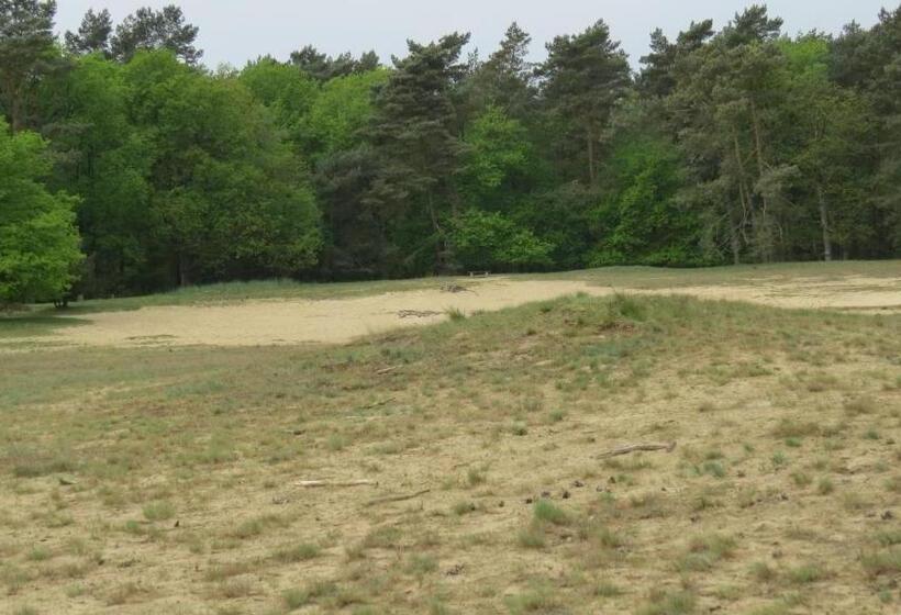 ホテル T Zwanemeer