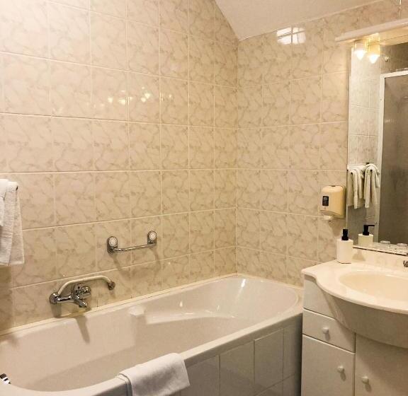 ホテル T Zwanemeer