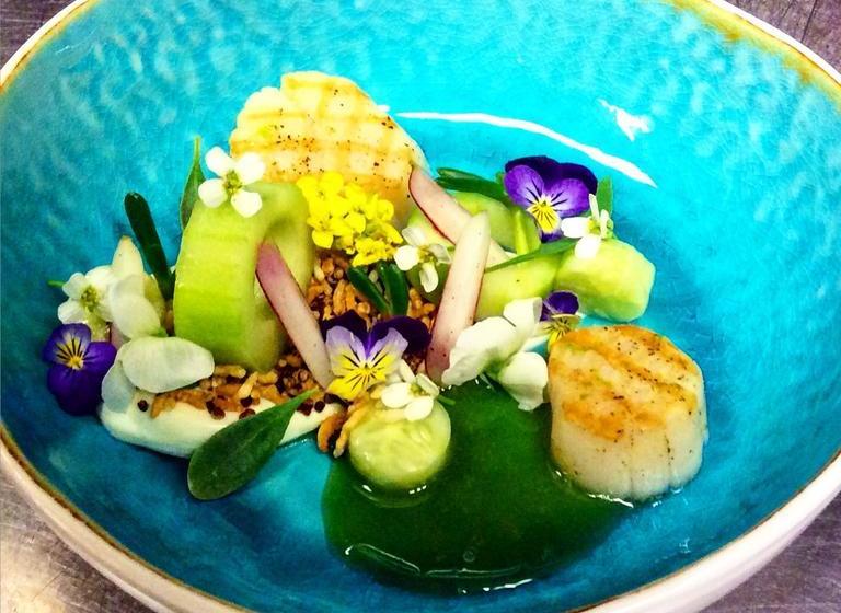 فندق Wellness Caracol