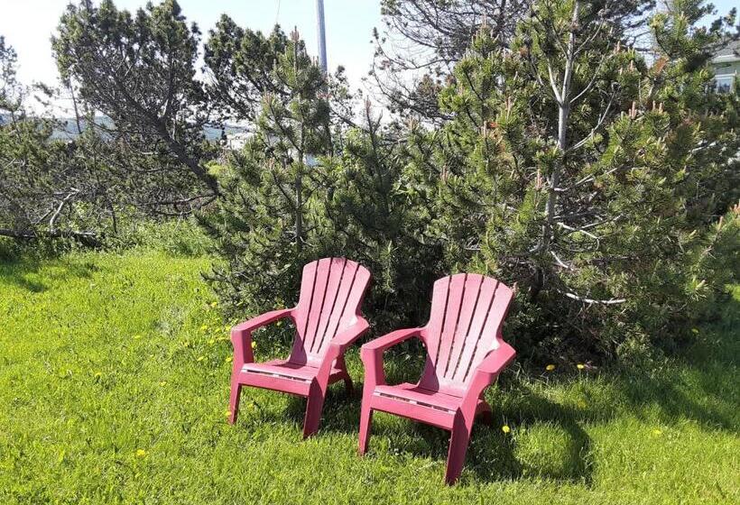 Motel & Camping Le Pirate