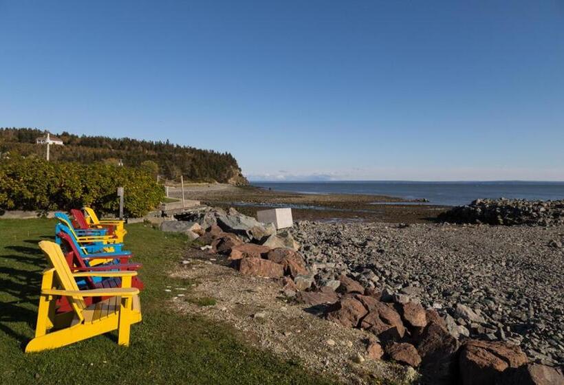 مُتل Alpine Motor Inn