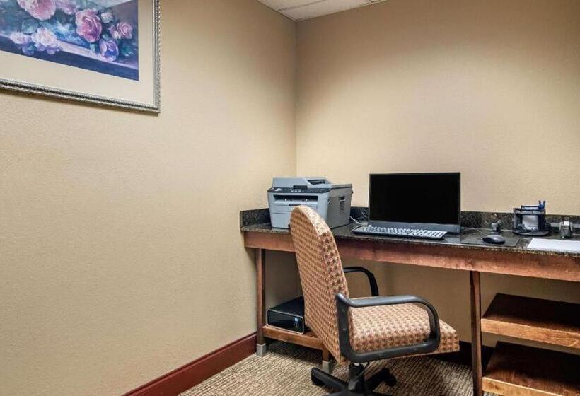 호텔 Comfort Inn & Suites Suwanee   Sugarloaf