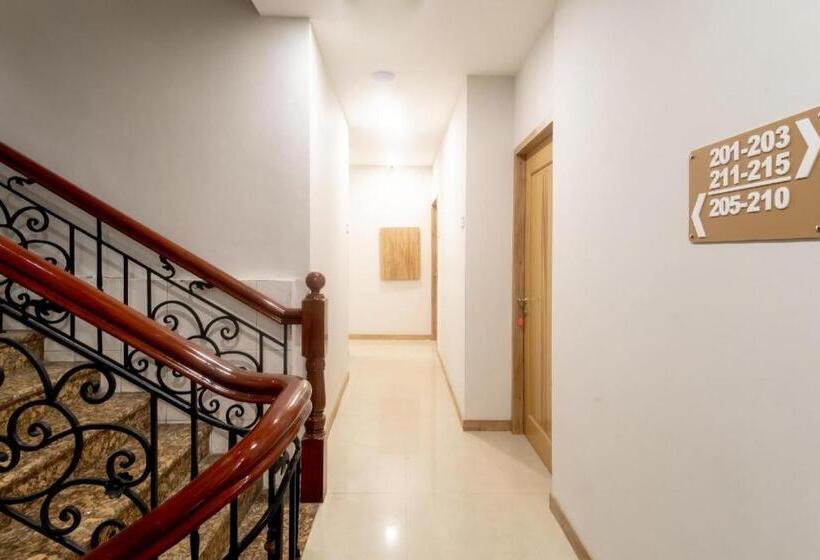هتل Super Oyo 3159 Festive Inn