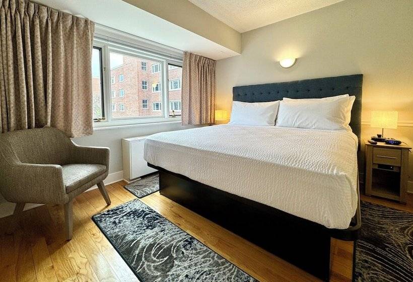 فندق The Gem Museum Suites