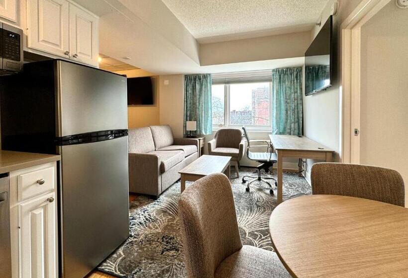 فندق The Gem Museum Suites