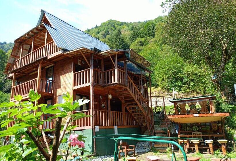 çelina Apart