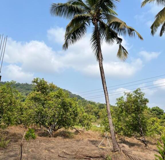 فندق Green Valley Jungle Resort