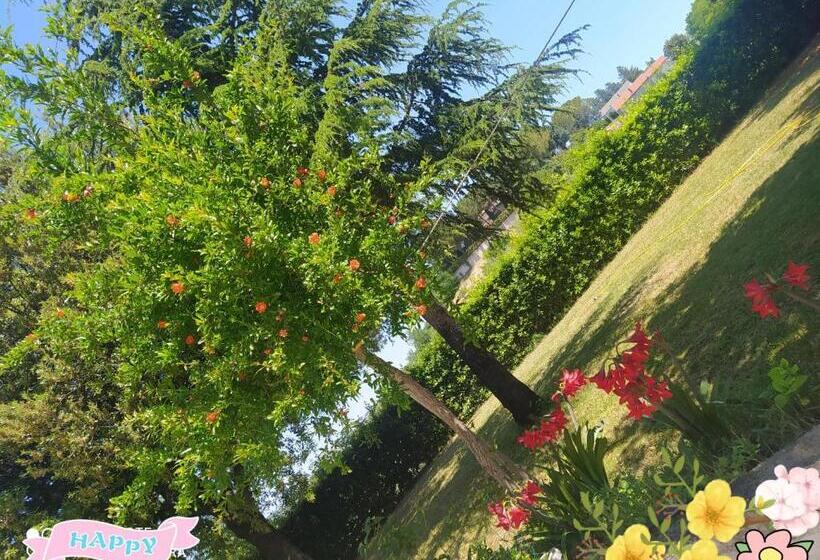 مبيت وإفطار Belvedere Baiocco