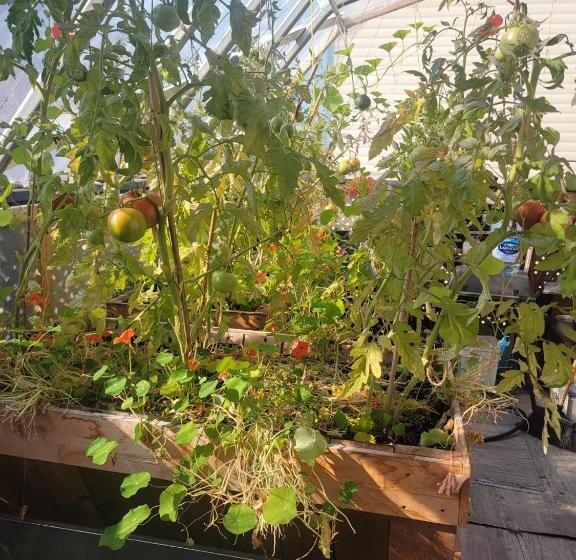 ユースホステル Auberge Internationale Le Tangon