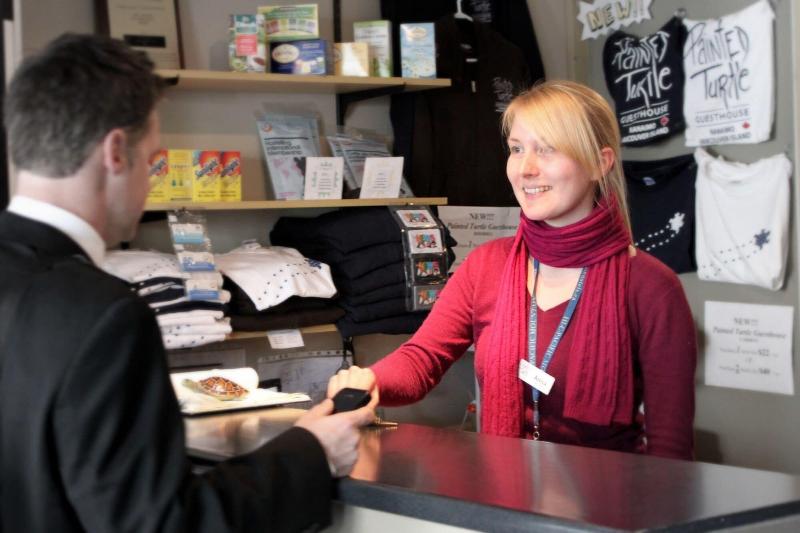 旅馆 Painted Turtle Guesthouse