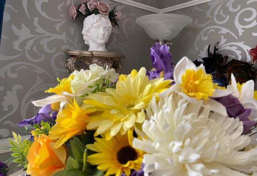 تختخواب و صبحانه Serenity