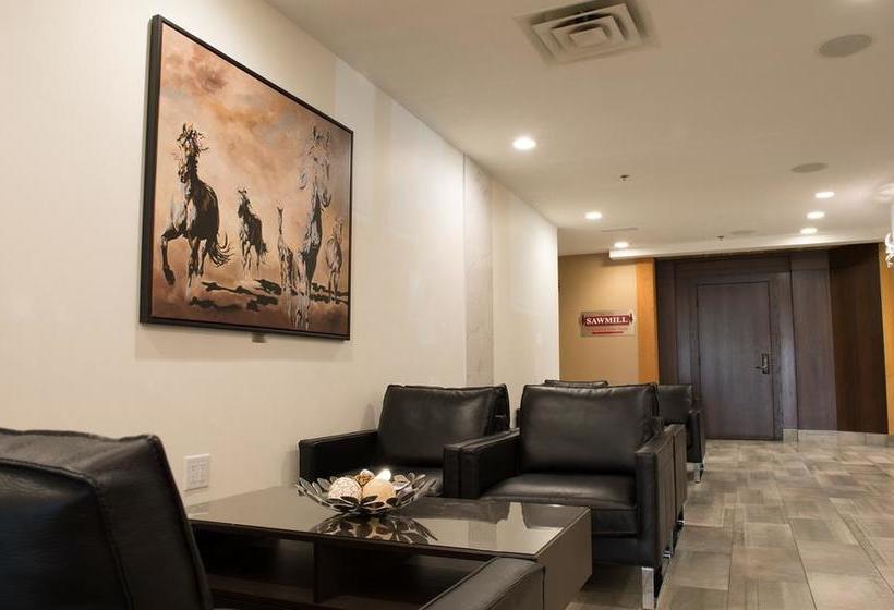 בית מלון כפרי Park Centre &